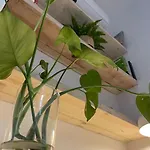 Anastasios\' Artwork Apartment